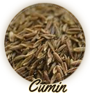 cumin