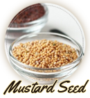 mustardseed