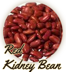 Red Kidney Bean